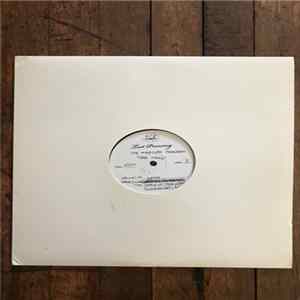 The Mercury Program - Chez Viking mp3