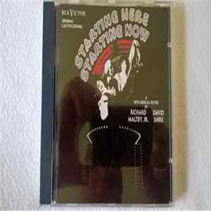 Various - Original Cast Recording Starting Here Starting Now mp3