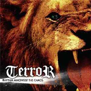 Terror - Rhythm Amongst The Chaos mp3