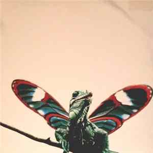 Various - Trip Do Brasil 2 - EP3 mp3