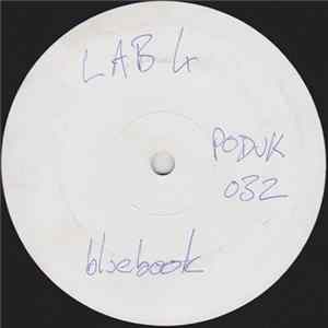 Lab 4 - Bluebook mp3