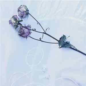 Soft Touch - Maybe Something, Maybe Nothing mp3