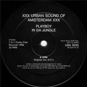 Playboy - In Da Jungle mp3