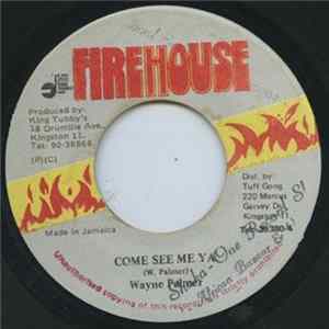 Wayne Palmer - Come See Me Ya mp3