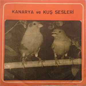Unknown Artist - Kanarya Ve Kuş Sesleri mp3
