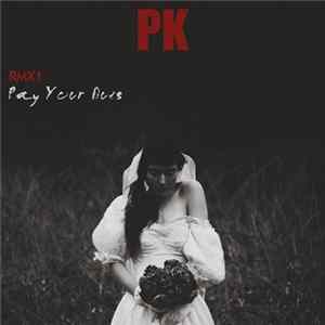 Polaroid Kiss - Pay Your Dues RMX1 mp3