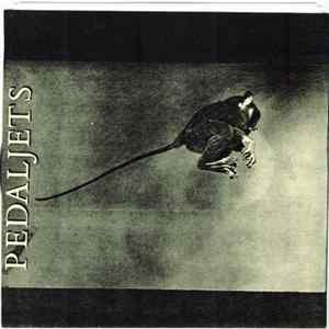 Pedaljets - Hide & Go Seek / The One I Can't Have mp3