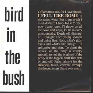 Bird In The Bush - I Fell Like Rome mp3