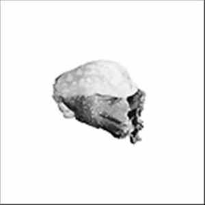 Brett Spivey - Anamorphosis Of Day mp3