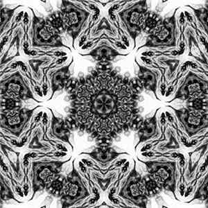 Ravcan - Untitled One mp3