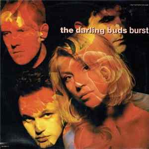 The Darling Buds - Burst mp3