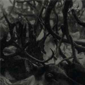 Company - Prosody mp3