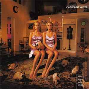 Catherine Wheel - Like Cats And Dogs mp3