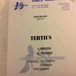 Tertius - Pacewaves / Meditation mp3