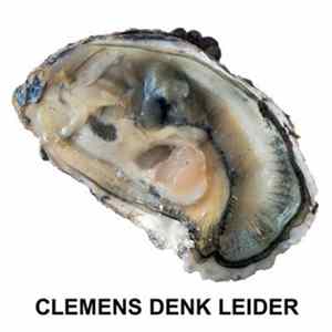 Clemens Denk - Leider mp3