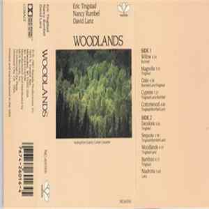Eric Tingstad & Nancy Rumbel, David Lanz - Woodlands mp3