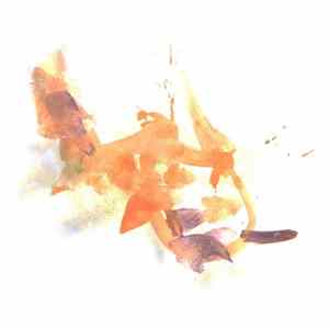 Name Does Not Matter - Pulse mp3
