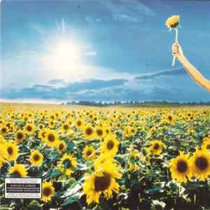Stone Temple Pilots - Thank You mp3