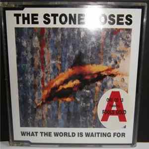 The Stone Roses - What The World Is Waiting For mp3
