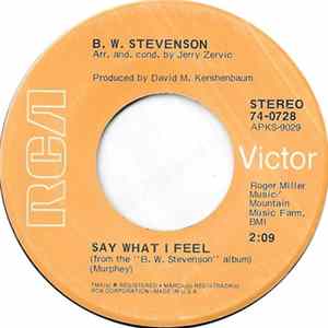 B.W. Stevenson - Say What I Feel mp3