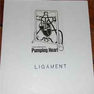 Ligament - Three Dimensional Pumping Heart mp3