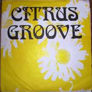 Citrus Groove - Hit The Ground mp3