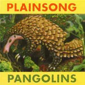 Plainsong - Pangolins mp3