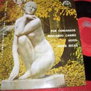 Various - Musica Bailable Instrumental mp3