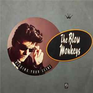 The Blow Monkeys - Digging Your Scene mp3