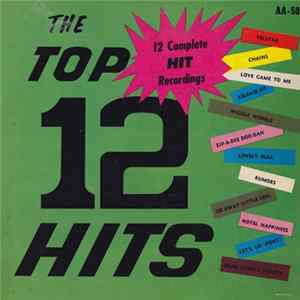 Unknown Artist - The Top 12 Hits mp3