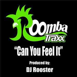 DJ Rooster - Can You Feel It mp3