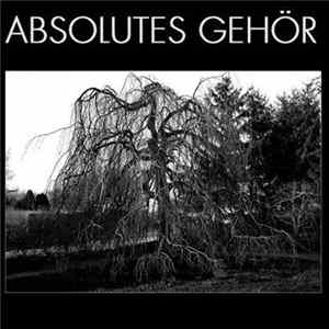 Various - Absolutes Gehör mp3