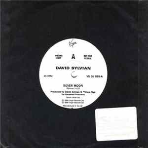 David Sylvian - Silver Moon mp3