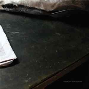 Andrea Polli - Sonic Antarctica mp3