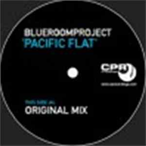 Blue Room Project - Pacific Flat mp3