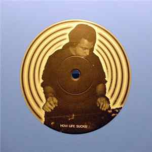 DJ Pure + Hoschi - How Life Sucks! mp3