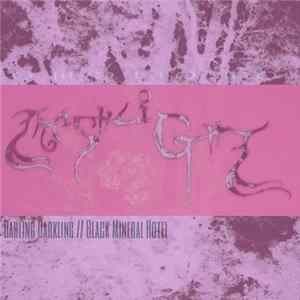 Trashlight - Darling Darkling ​/​/ Black Mineral Hotel mp3