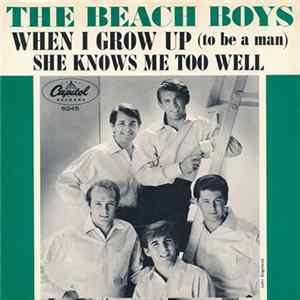 The Beach Boys - When I Grow Up (To Be A Man) mp3