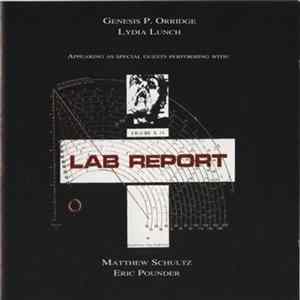 Lab Report - Unhealthy mp3