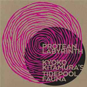 Kyoko Kitamura's Tidepool Fauna - Protean Labyrinth mp3