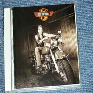 Willie Nelson - Born For Trouble mp3