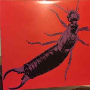 Jon Camp - Earwig mp3