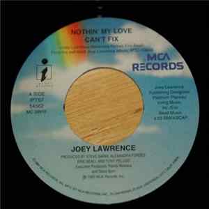 Joey Lawrence - Nothin' My Love Can't Fix mp3