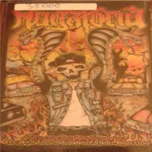 Nugatoria - Absolute Beginning Scoundrel The Wild Terror For Rock N Roll Impostor mp3