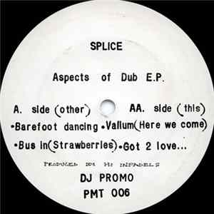 Splice - Aspects Of Dub E.P. mp3