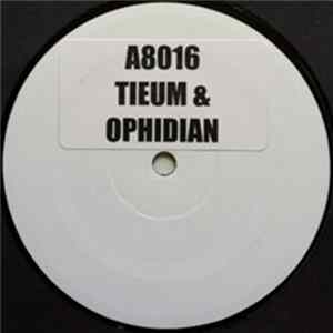 Tieum & Ophidian - Distorted Information mp3