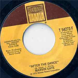 Marvin Gaye - After The Dance mp3