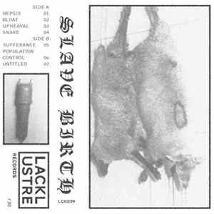 Slave Birth - Slave Birth mp3