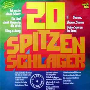 Unknown Artist - 20 Spitzenschlager mp3