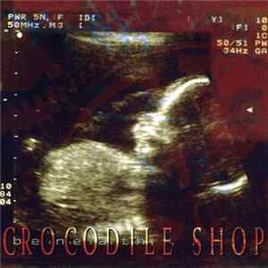 Crocodile Shop - Beneath mp3